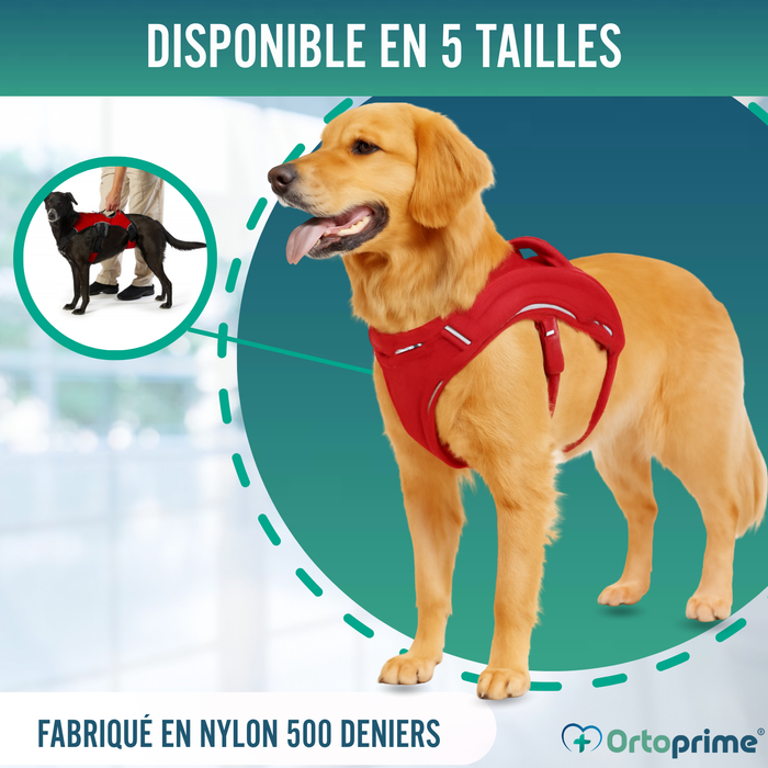 Harnais de Support pour Chiens d’Assistance | 5 Tailles