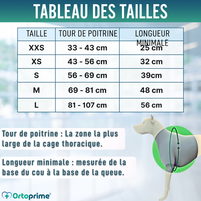 Harnais de Support pour Chiens d’Assistance | 5 Tailles