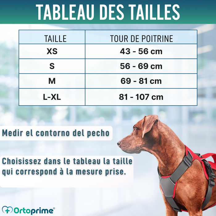 Harnais pour Chien de Sauvetage | Haute Résistance
