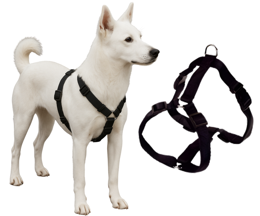 Harnais Canin pour Rééducation Neurologique | 5 Tailles