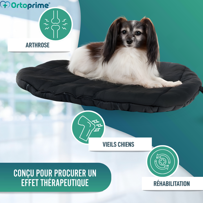 Couchage Thermique pour Chiens Arthrose | Tissu Thérapeutique