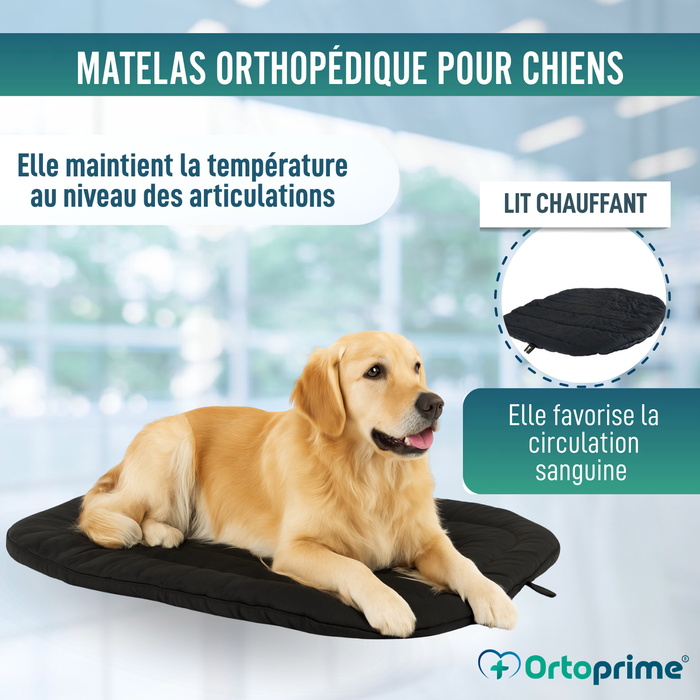 Couchage Thermique pour Chiens Arthrose | Tissu Thérapeutique
