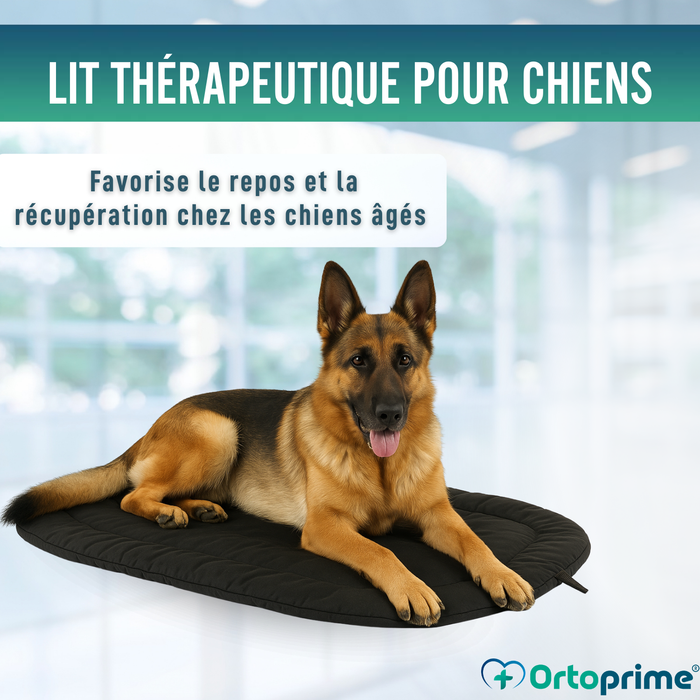 Couchage Thermique pour Chiens Arthrose | Tissu Thérapeutique
