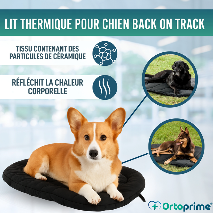 Couchage Thermique pour Chiens Arthrose | Tissu Thérapeutique