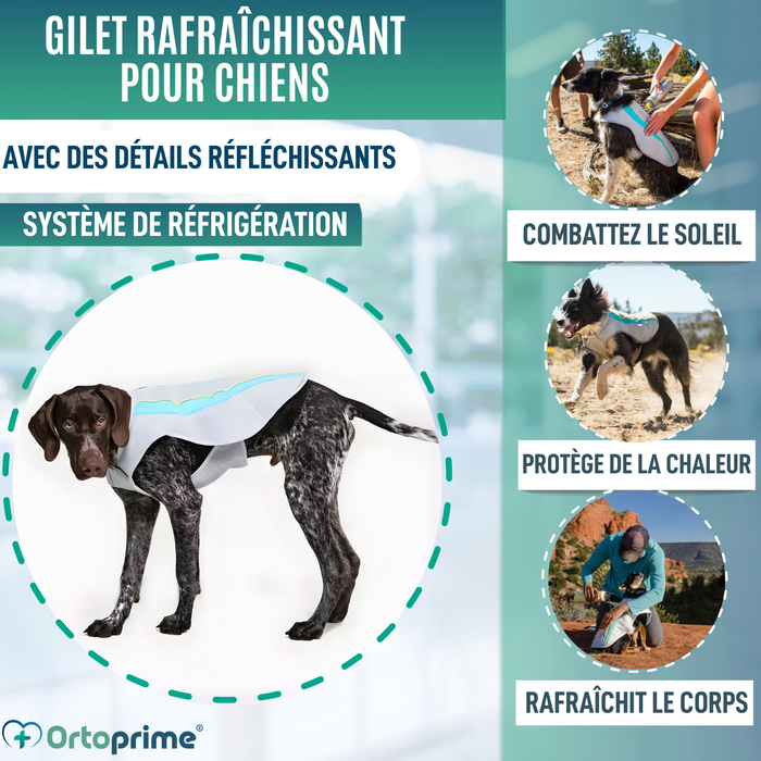 Gilet d’Été pour Chiens | Refroidissement par Évaporation