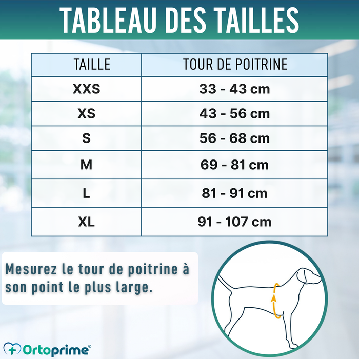 Gilet d’Été pour Chiens | Refroidissement par Évaporation