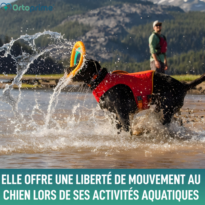 Gilet de Sauvetage pour Chien Multi-Usage | Sécurité Aquatique