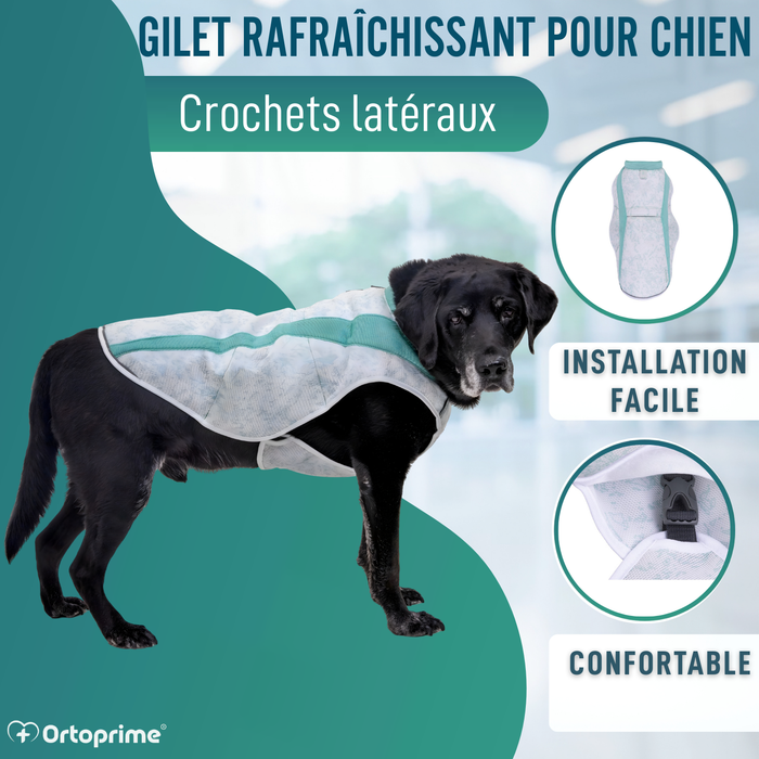 Gilet d’Été pour Chiens | Refroidissement par Évaporation