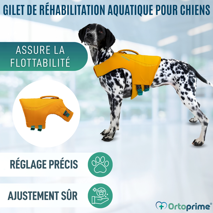 Gilet de Sauvetage pour Chien Multi-Usage | Sécurité Aquatique