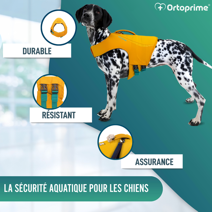 Gilet de Sauvetage pour Chien Multi-Usage | Sécurité Aquatique