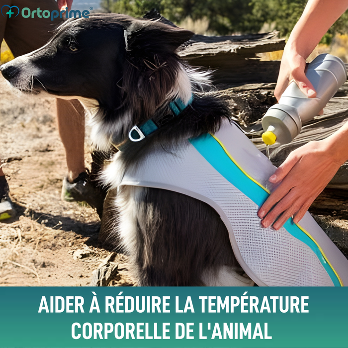Gilet d’Été pour Chiens | Refroidissement par Évaporation