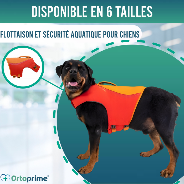 Gilet de Sauvetage pour Chien Multi-Usage | Sécurité Aquatique