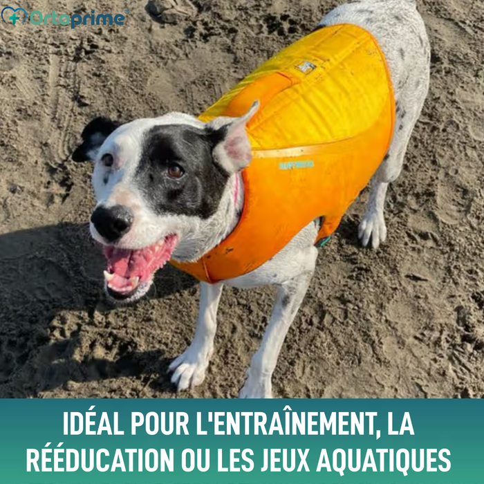 Gilet de Sauvetage pour Chien Multi-Usage | Sécurité Aquatique