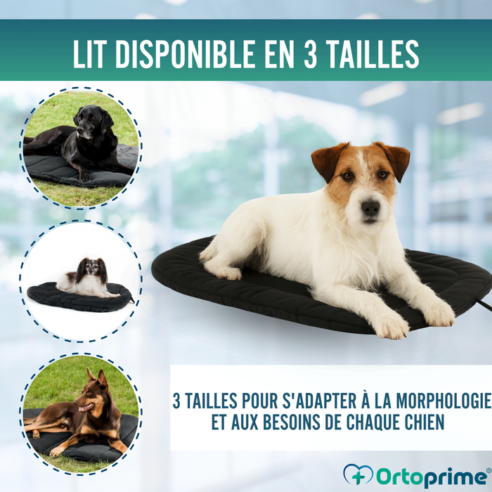 Couchage Thermique pour Chiens Arthrose | Tissu Thérapeutique