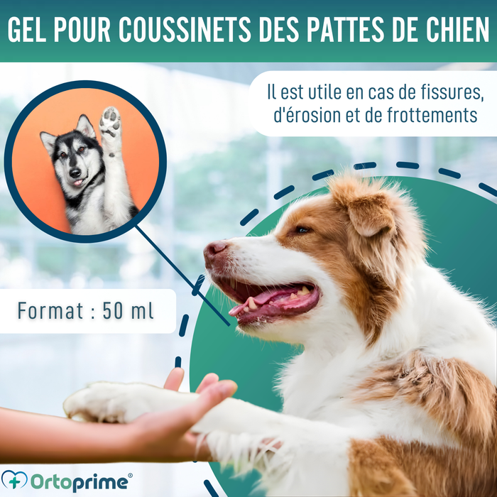 Gel Protecteur Coussinets pour Chiens | Aloe Vera 50 ml