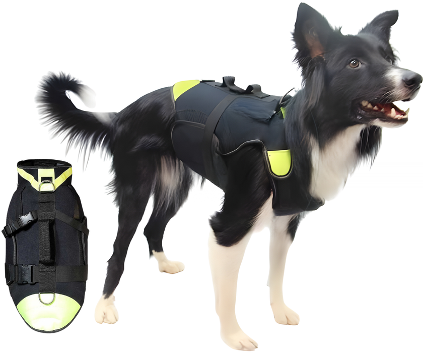 Harnais Canin Multifonction 3 en 1 en Néoprène | 4 Tailles