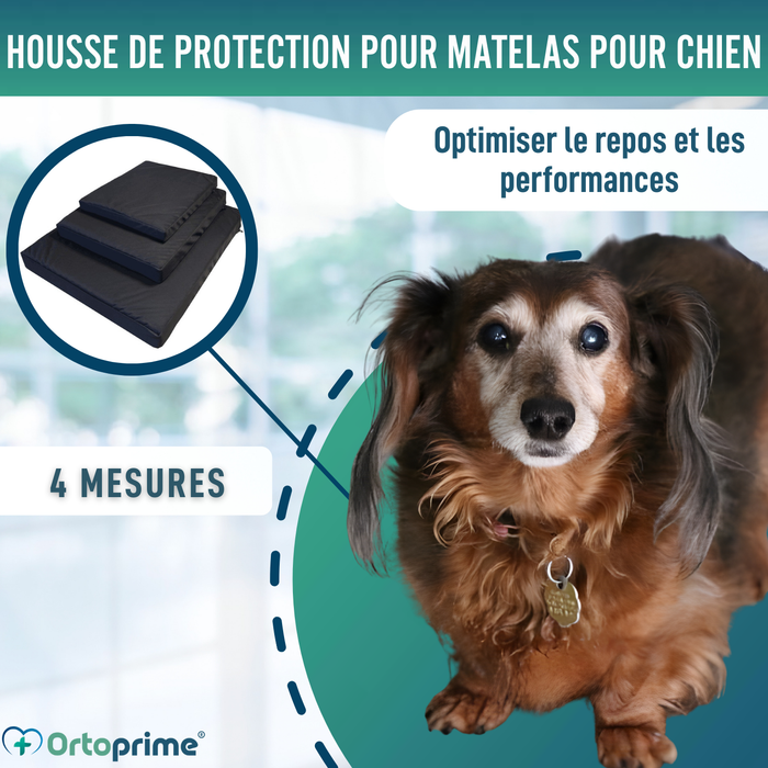 Housse Imperméable pour Matelas Orthopédique Canin | 4 Tailles