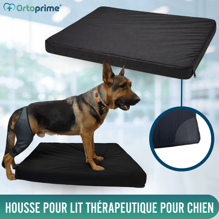 Housse Imperméable pour Matelas Orthopédique Canin | 4 Tailles