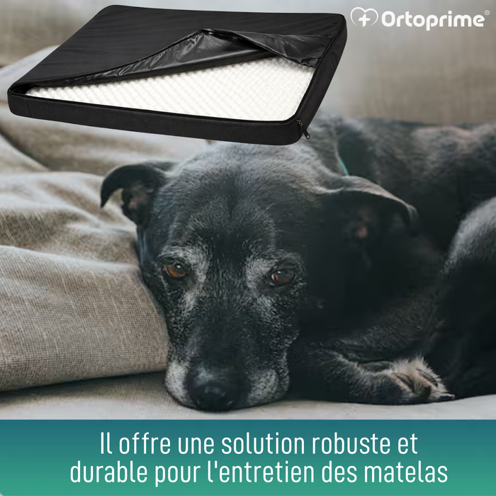 Housse Imperméable pour Matelas Orthopédique Canin | 4 Tailles