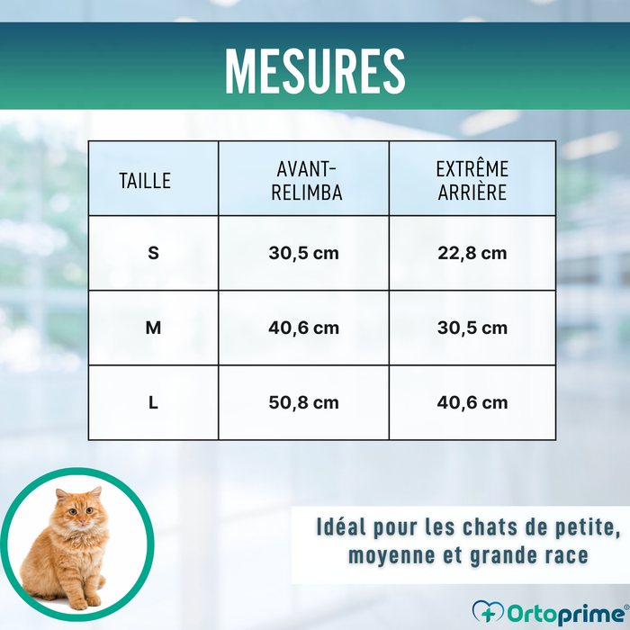 Attelle Rapide pour Chiens et Chats | 3 Tailles