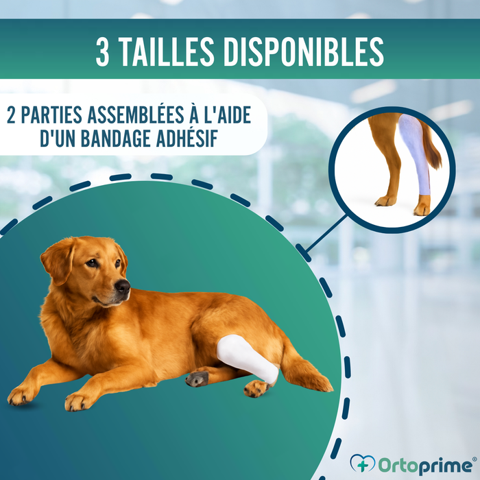 Attelle Rapide pour Chiens et Chats | 3 Tailles