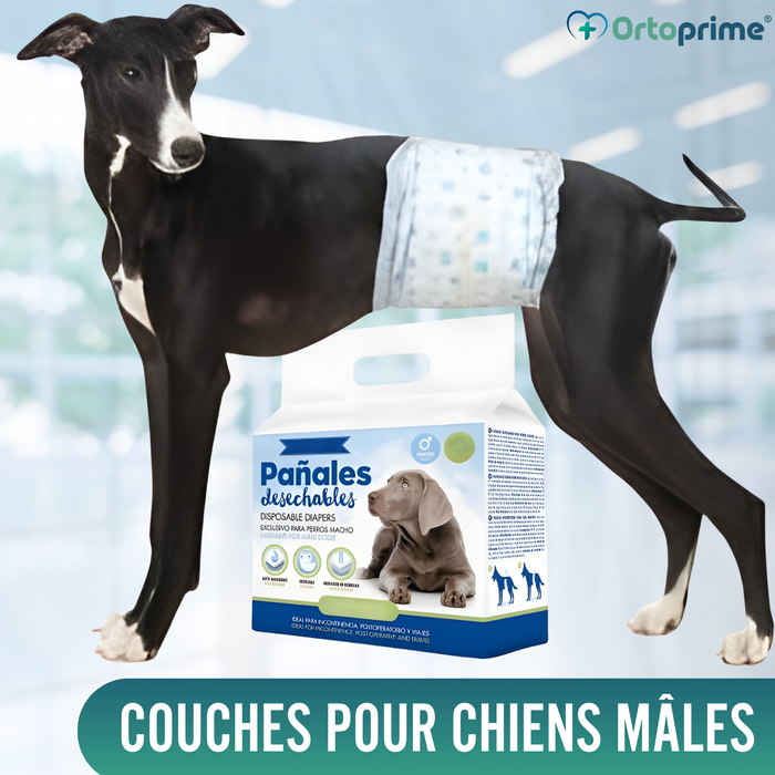 Couches pour Chien Mâle Ultra Absorbantes | Pack 12