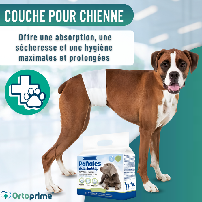 Couches pour Chien Mâle Ultra Absorbantes | Pack 12