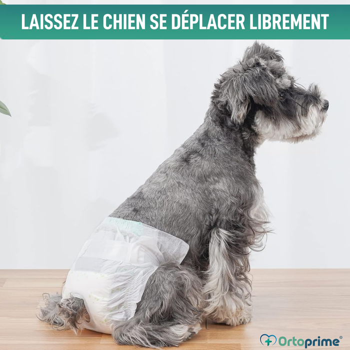 Couches Canines pour Femelles et Chiots | Haute Absorption