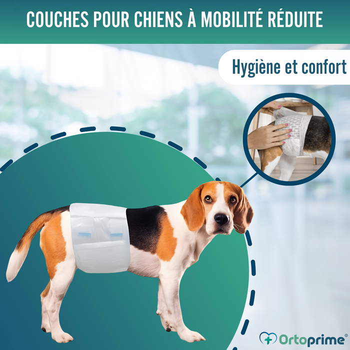 Couches pour Chien Mâle Ultra Absorbantes | Pack 12