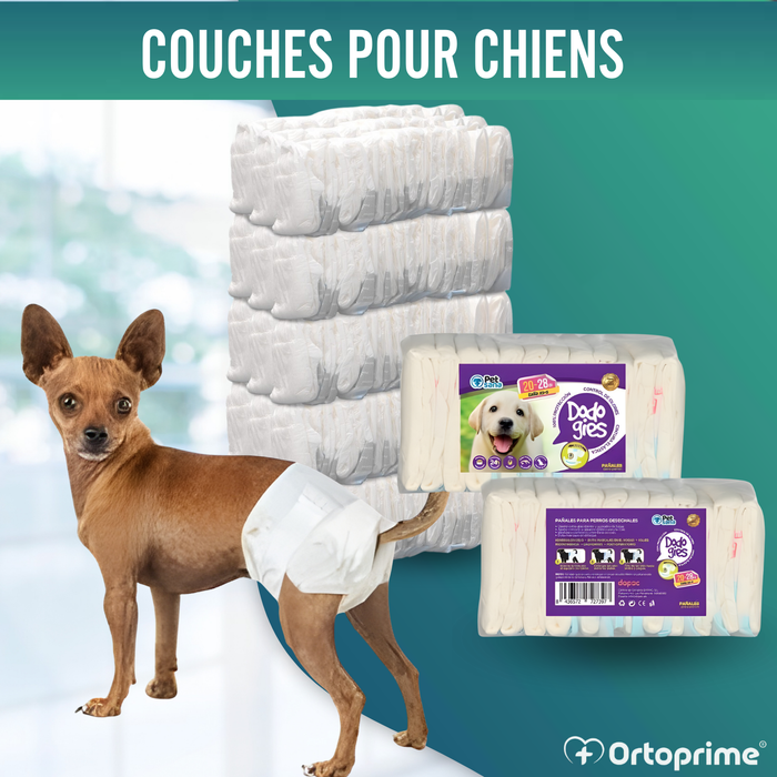 Couches Canines pour Femelles et Chiots | Haute Absorption
