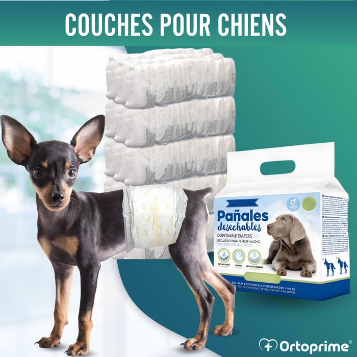 Couches pour Chien Mâle Ultra Absorbantes | Pack 12