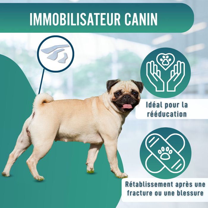 Attelle Rapide pour Chiens et Chats | 3 Tailles