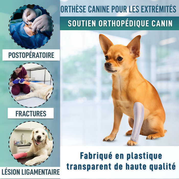 Attelle Rapide pour Chiens et Chats | 3 Tailles
