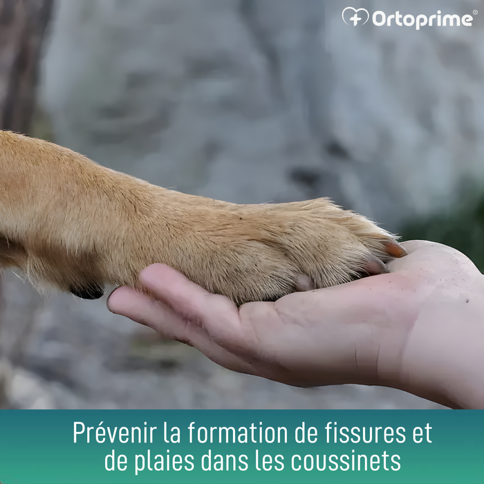 Gel Protecteur Coussinets pour Chiens | Aloe Vera 50 ml