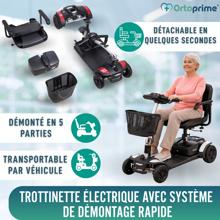 Scooter Électrique Batterie Lithium 20Ah | 8 Couleurs
