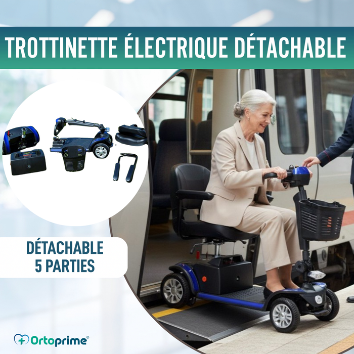 Scooter Électrique Démontable avec Batterie Lithium Amovible