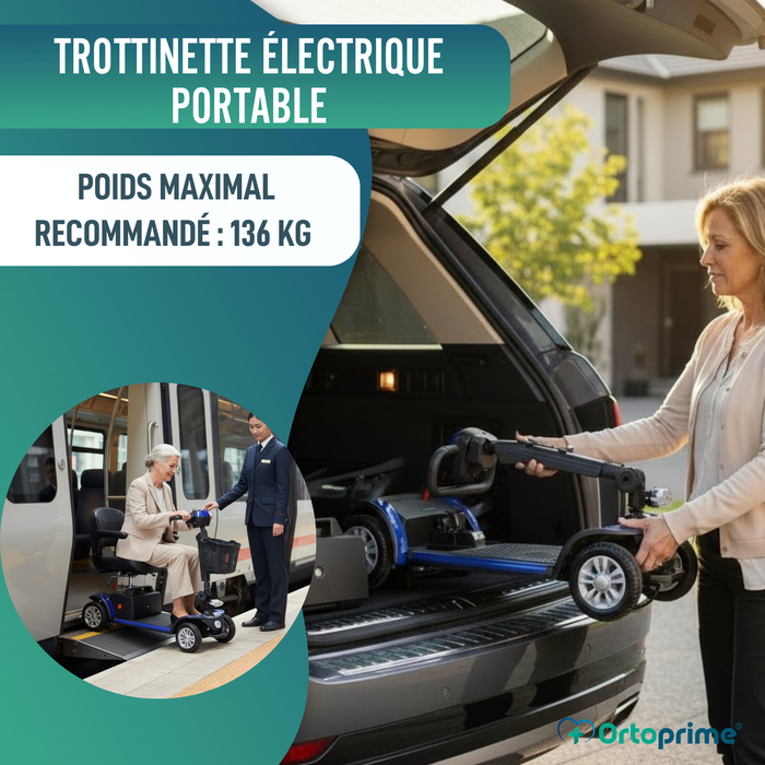 Scooter Électrique Démontable avec Batterie Lithium Amovible