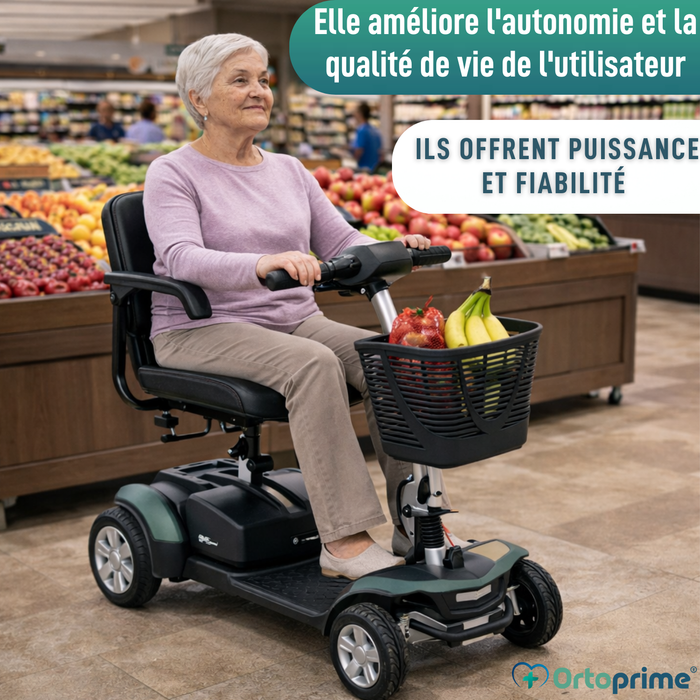 Scooter Électrique Démontable | Batterie Lithium 40Ah