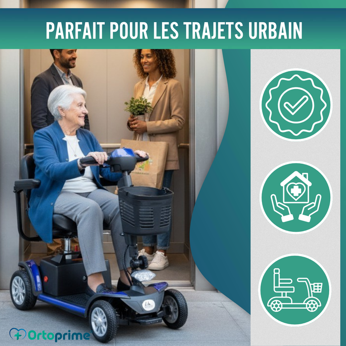 Scooter Électrique Démontable avec Batterie Lithium Amovible