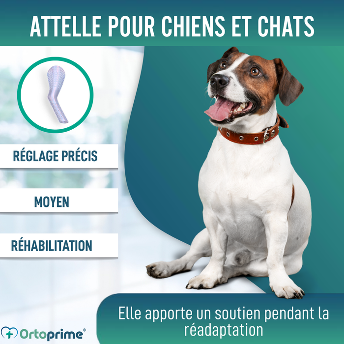 Attelle Rapide pour Chiens et Chats | 3 Tailles