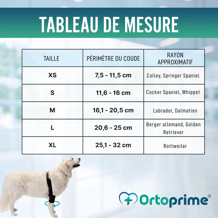 Orthèse de Coude pour Chiens avec arthrose Rééducation Canine