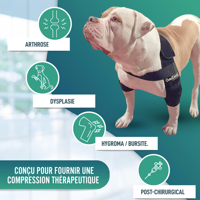 Orthèse de Coude pour Chiens avec arthrose Rééducation Canine