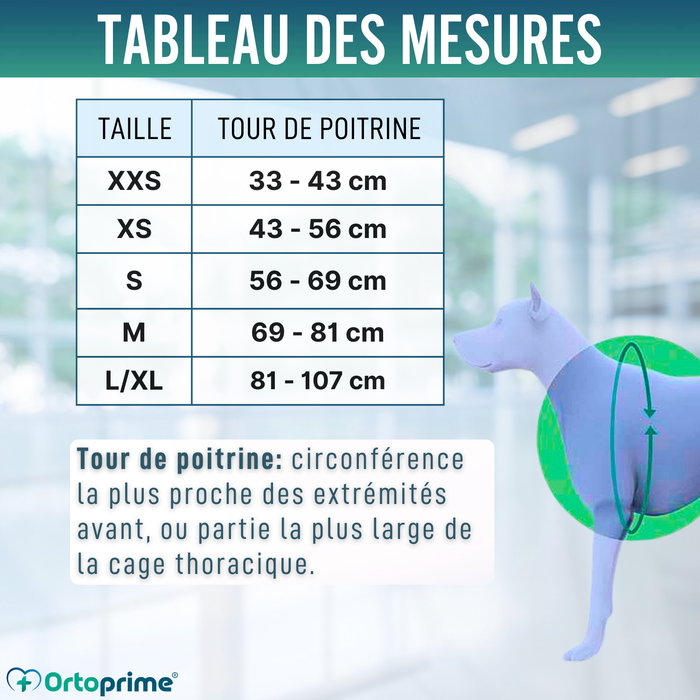Harnais Canin de Levage Polyvalent | Structure Résistante
