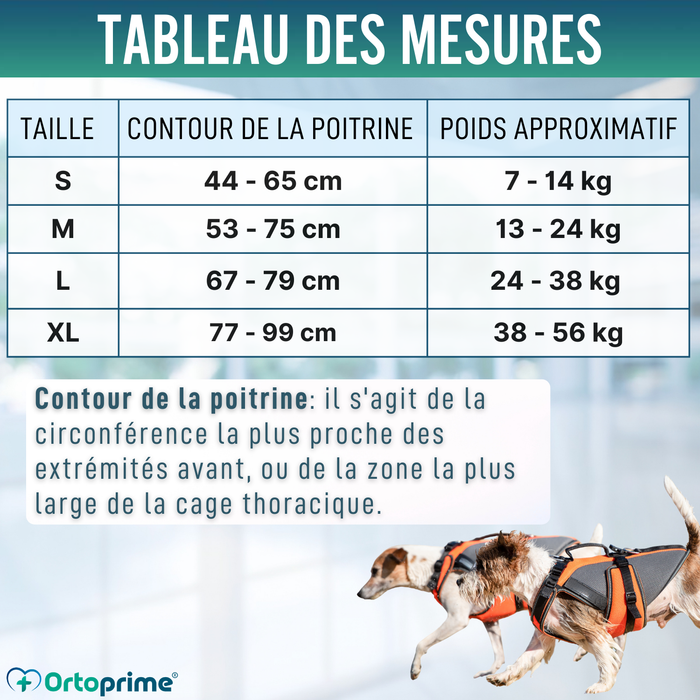Imbracatura per Riabilitazione Completa per Cani | Materiale 3D