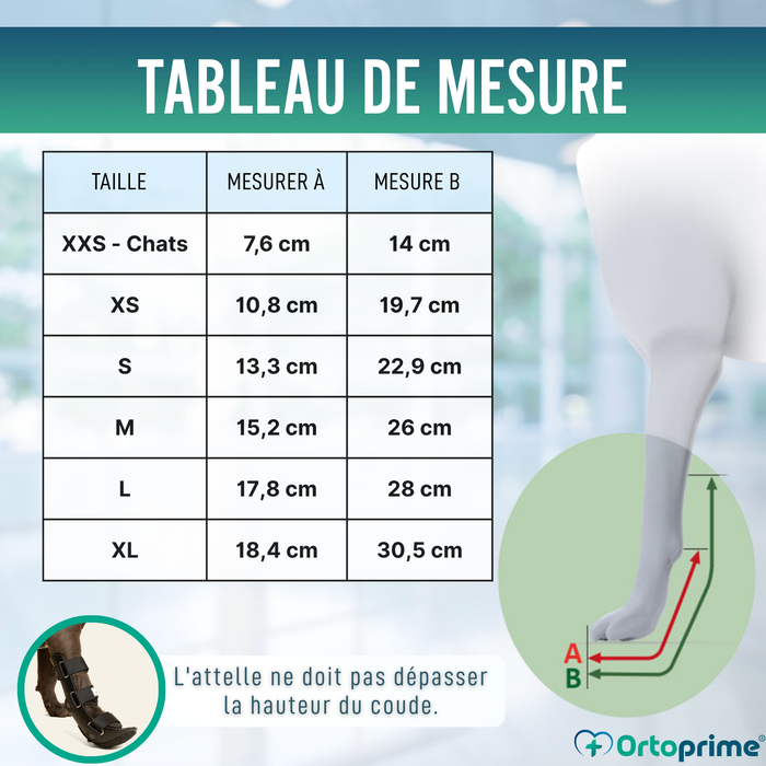 Attelle pour patte avant de chien en polypropylène | 6 tailles