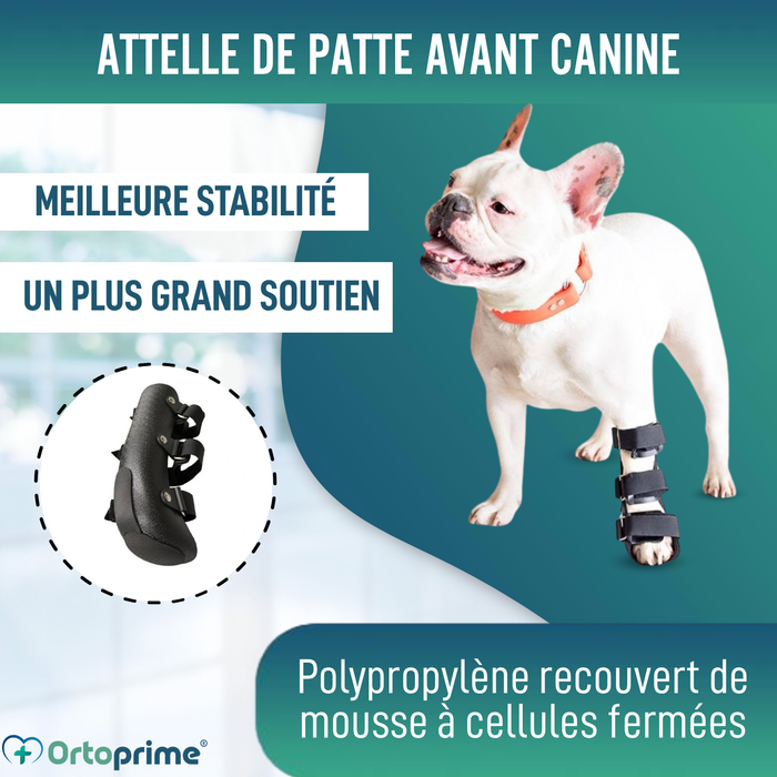 Attelle pour patte avant de chien en polypropylène | 6 tailles