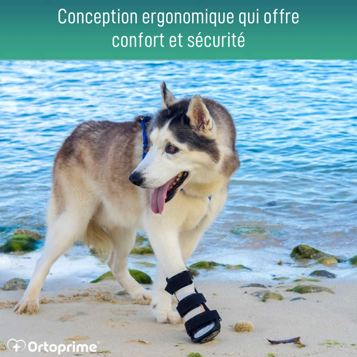 Attelle pour patte avant de chien en polypropylène | 6 tailles