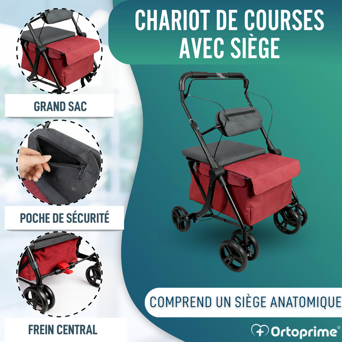 Déambulateur avec Chariot Pliable | Siège Intégré