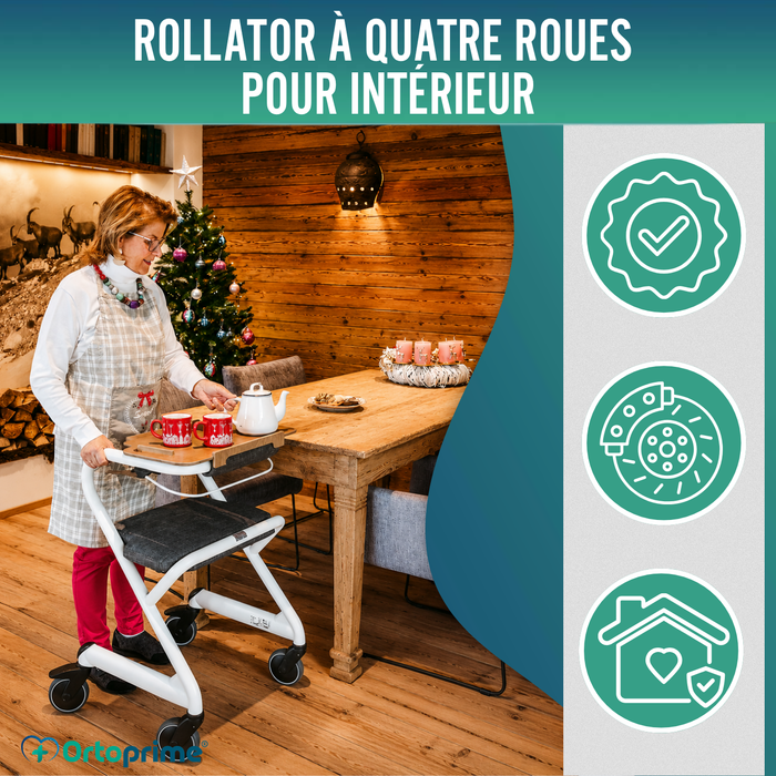 Rollator avec Siège et Frein Central | Usage Intérieur
