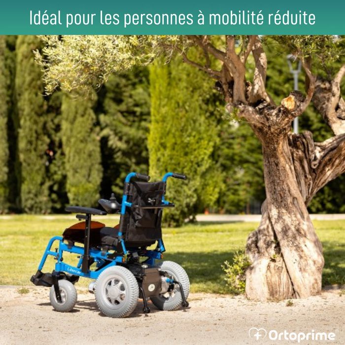 Fauteuil roulant électrique adaptable | Positions multiples